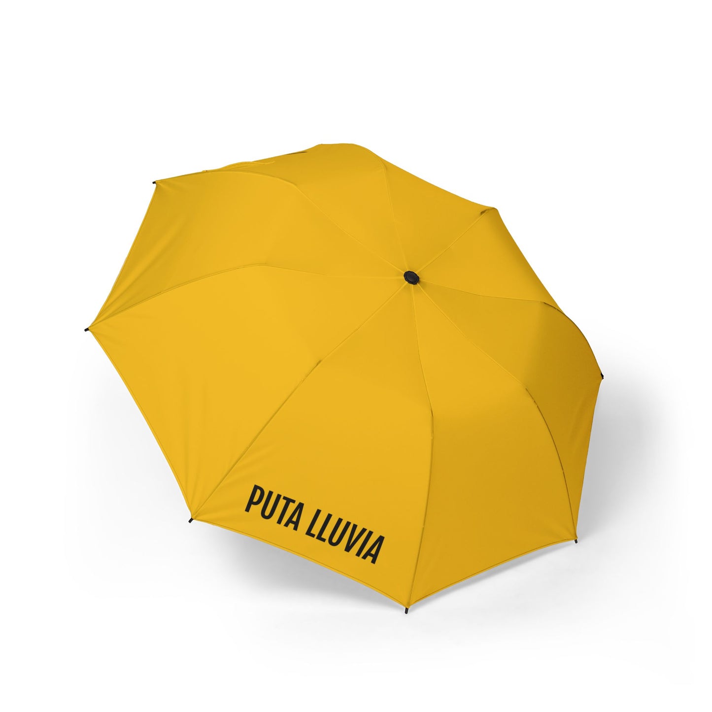 PUTA LLUVIA