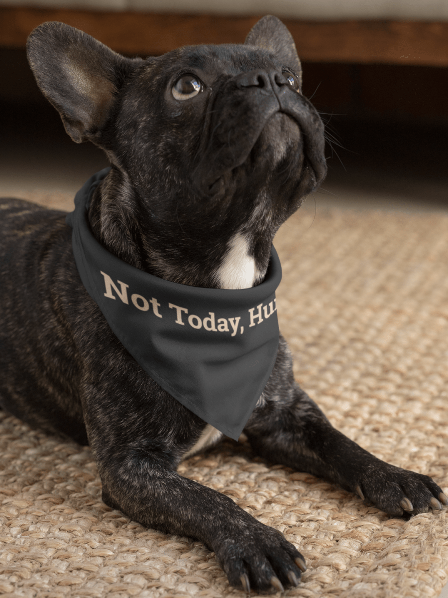 Pet Bandana 'Not Today, Human' - RUDECAPS