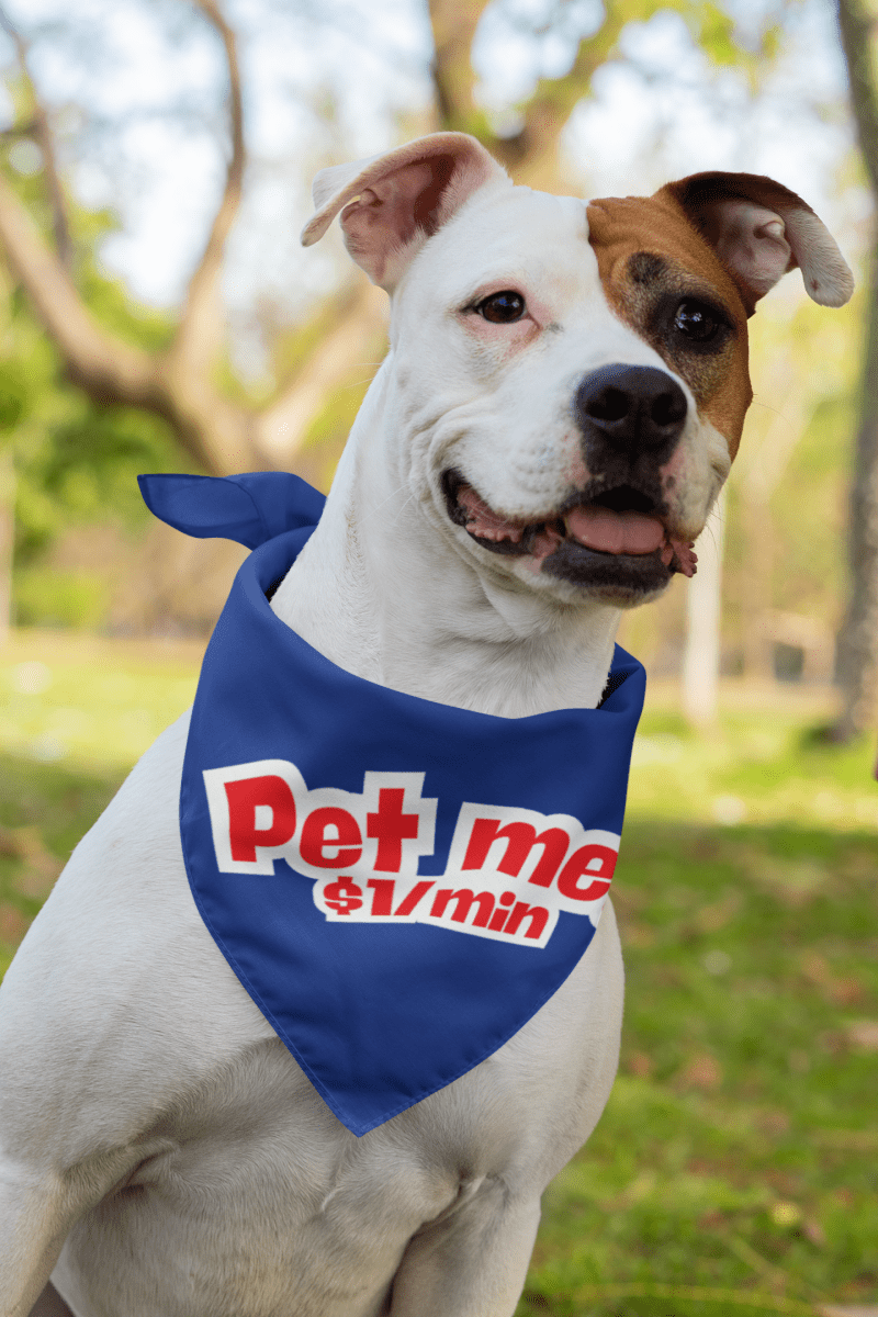 Pet Bandana 'Pet Me! $1/min' - RUDECAPS