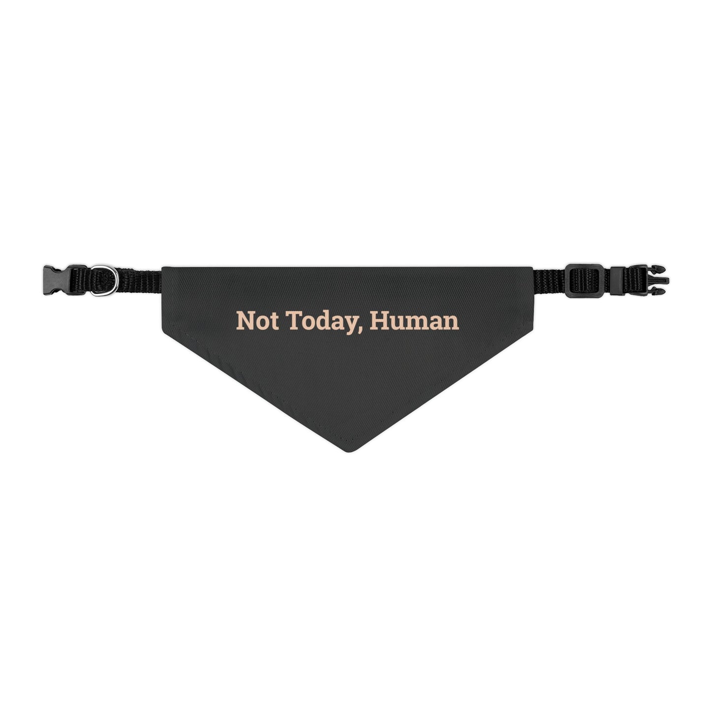 Pet Bandana Collar 'Not Today Human'