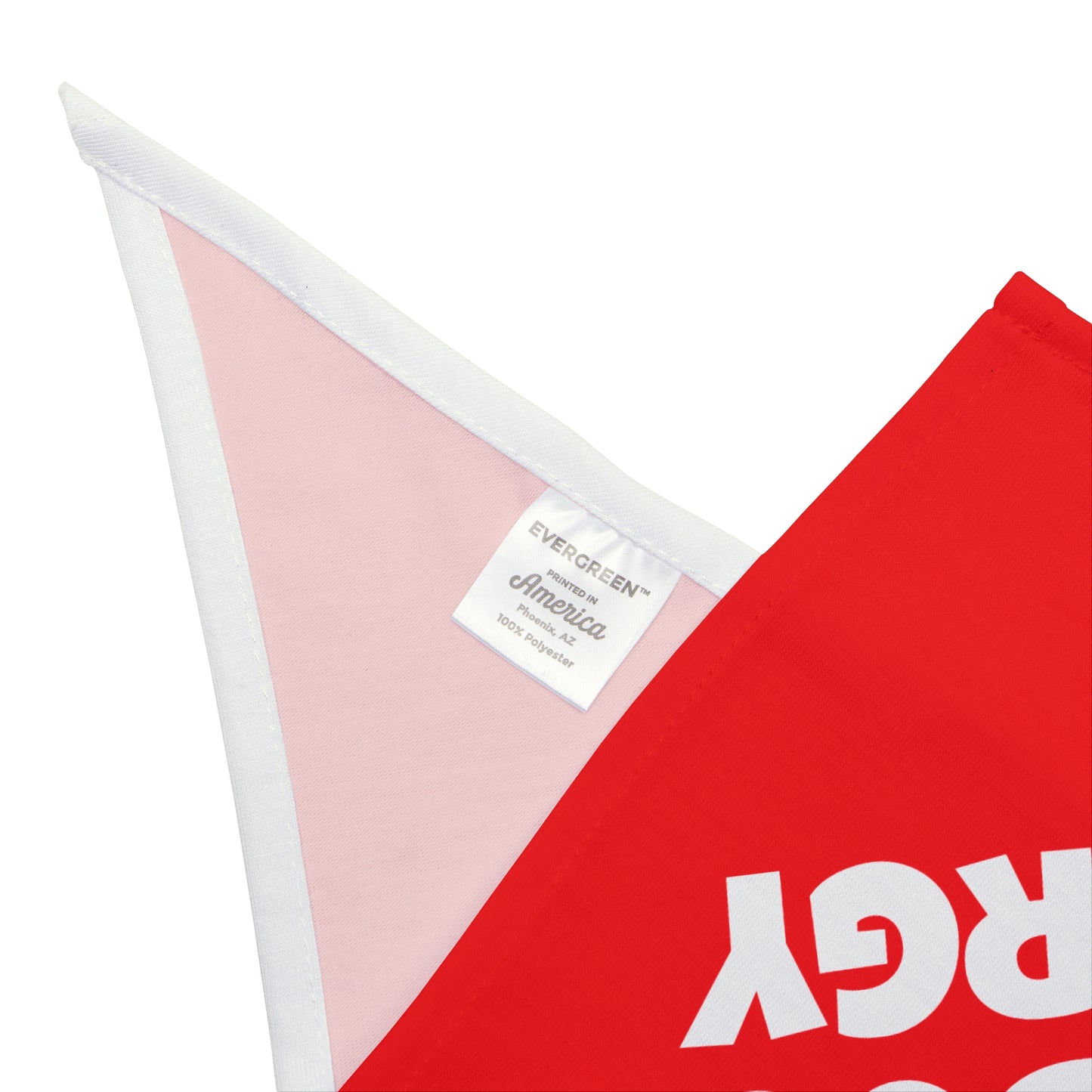 Big Dog Energy Pet Bandana