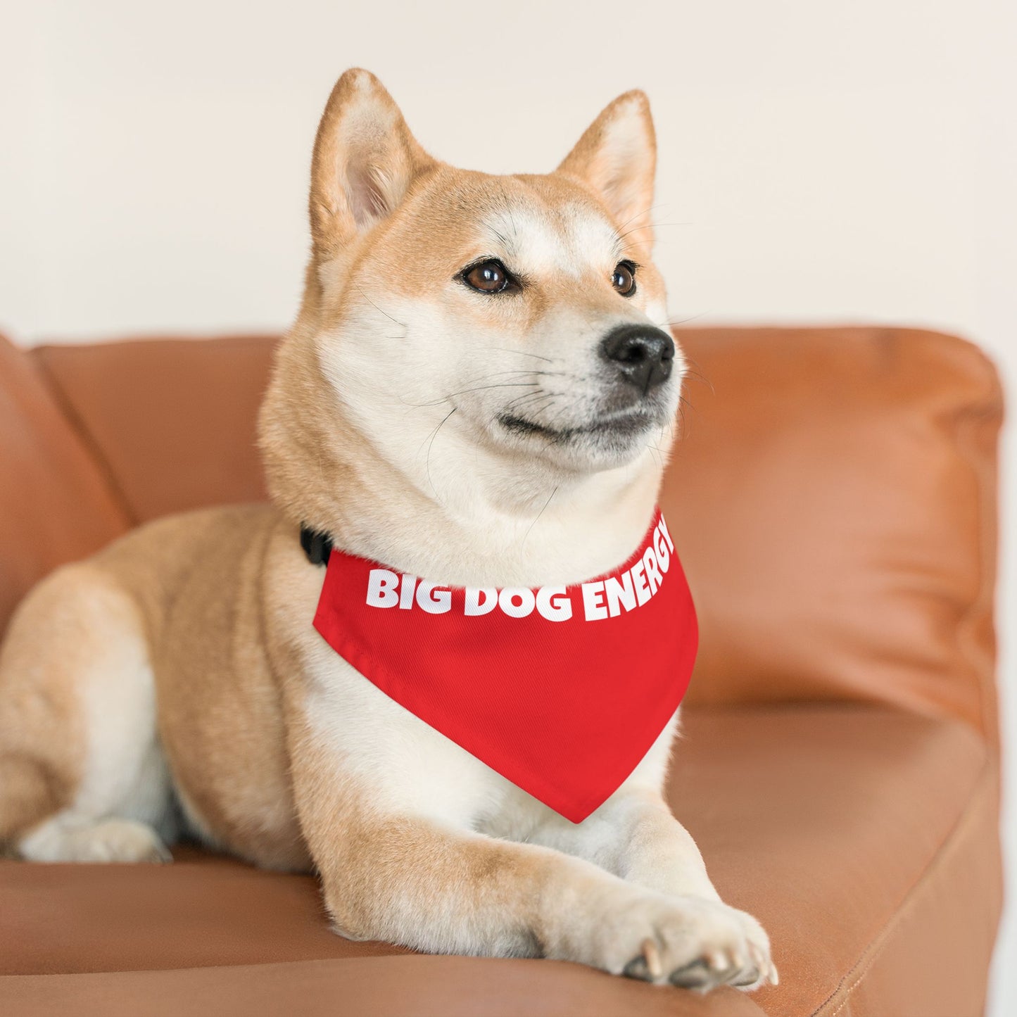 Pet Bandana Collar 'Big Dog Energy'