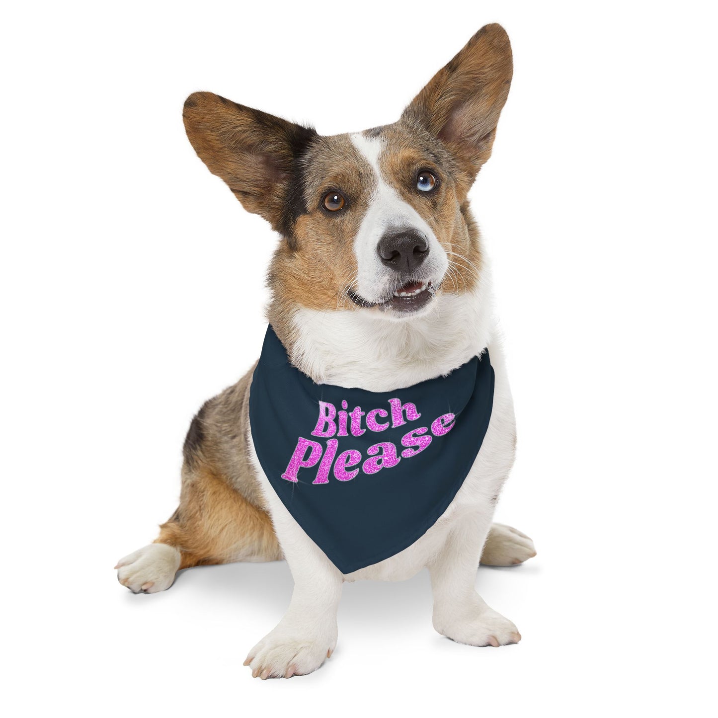 Pet Bandana Collar 'Bitch Please'