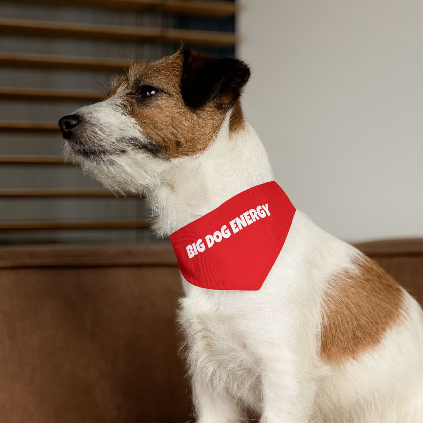 Pet Bandana Collar 'Big Dog Energy'