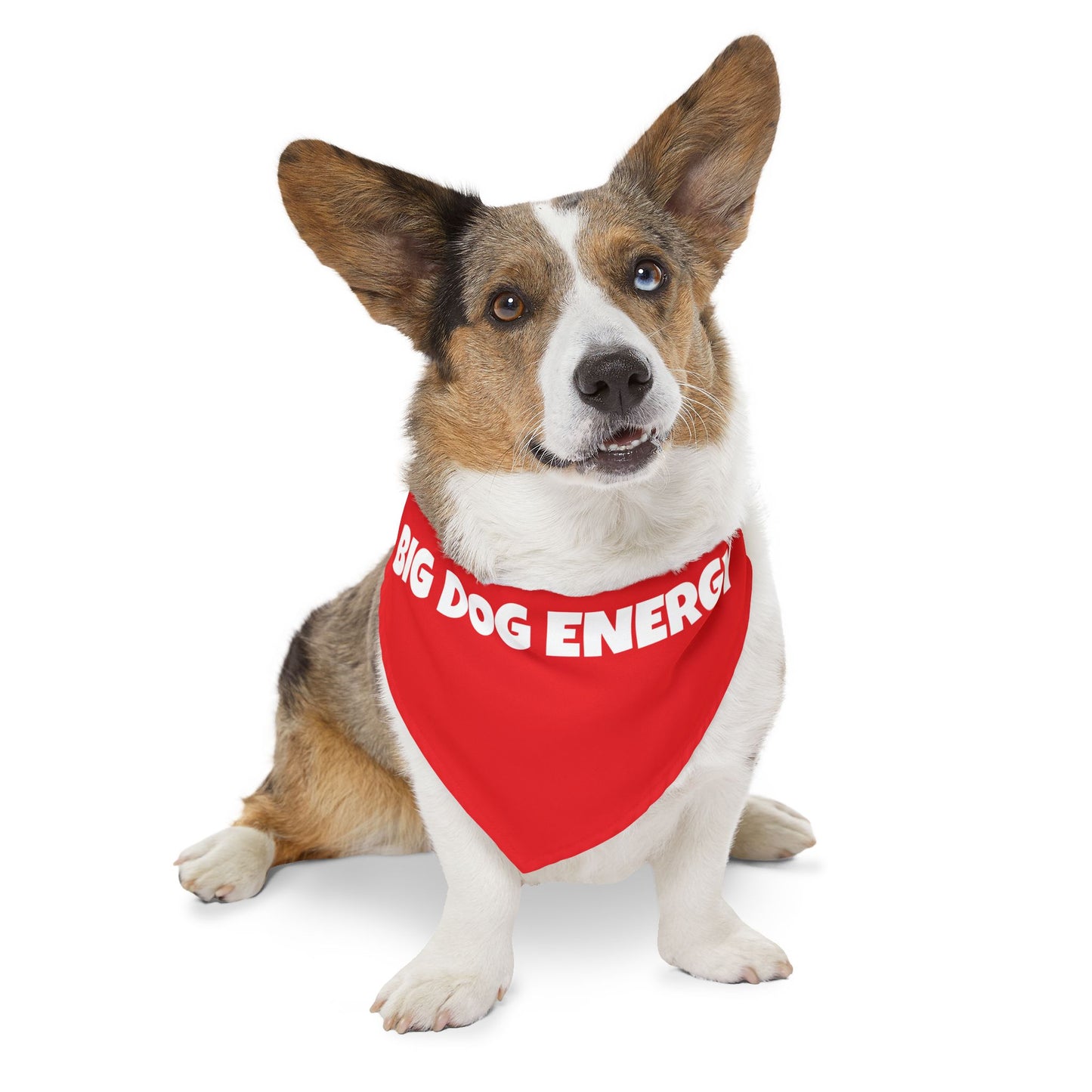 Pet Bandana Collar 'Big Dog Energy'