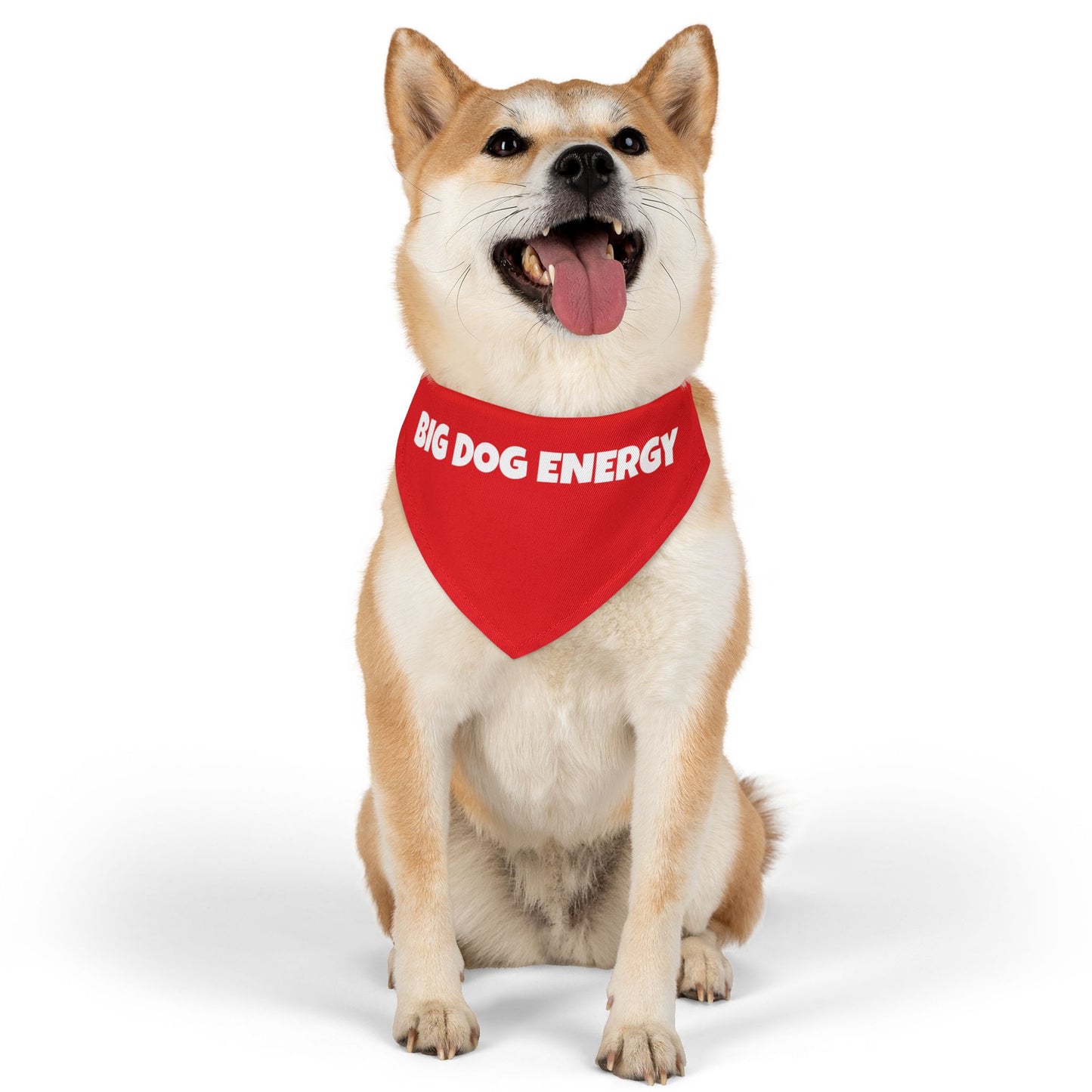 Pet Bandana Collar 'Big Dog Energy'