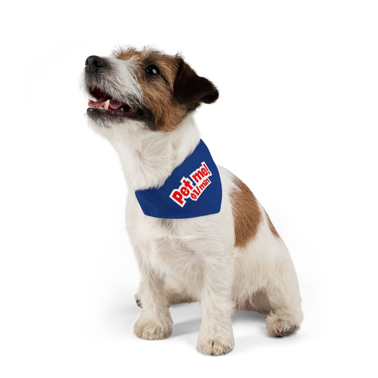 Pet Bandana Collar 'Pet me $1/min'