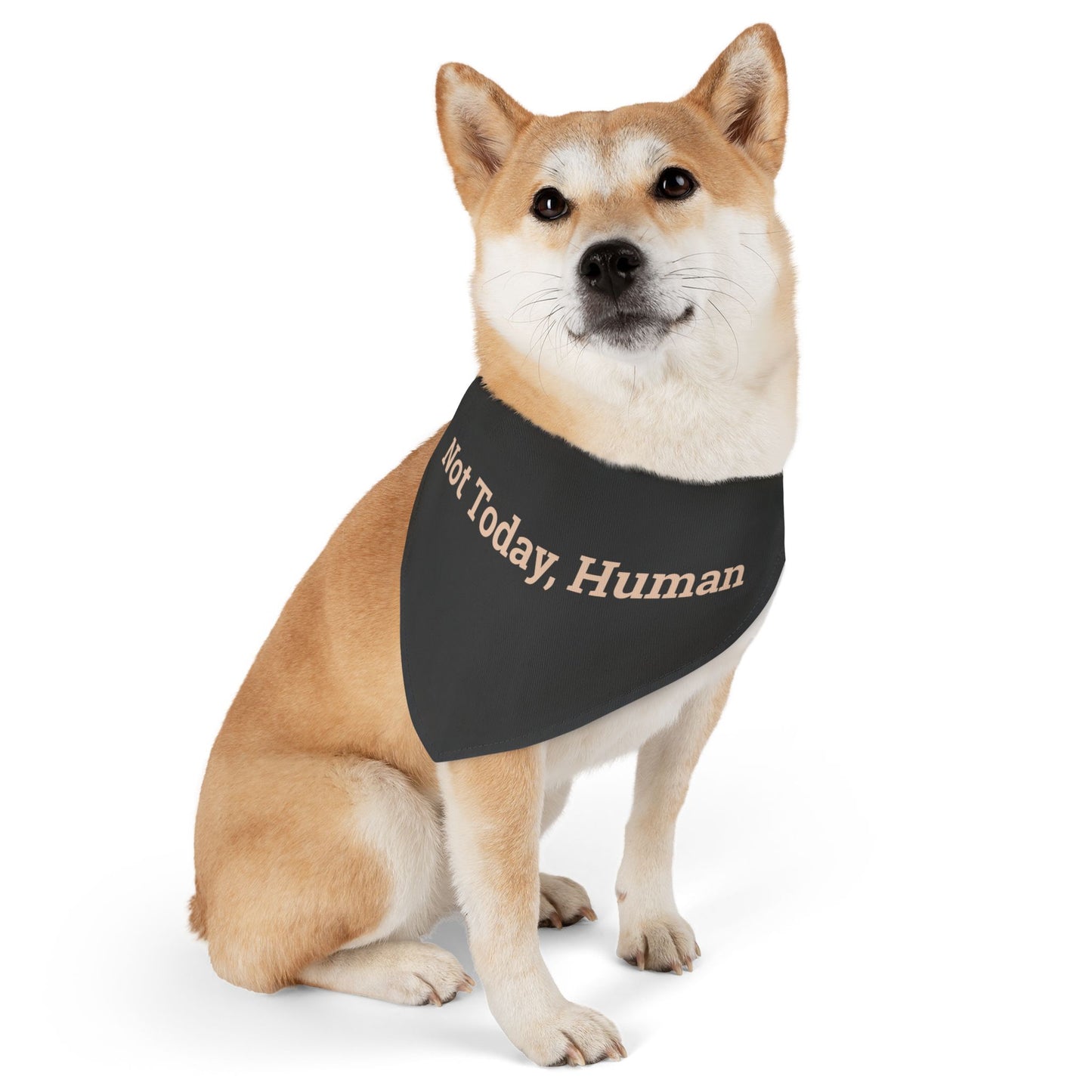 Pet Bandana Collar 'Not Today Human'