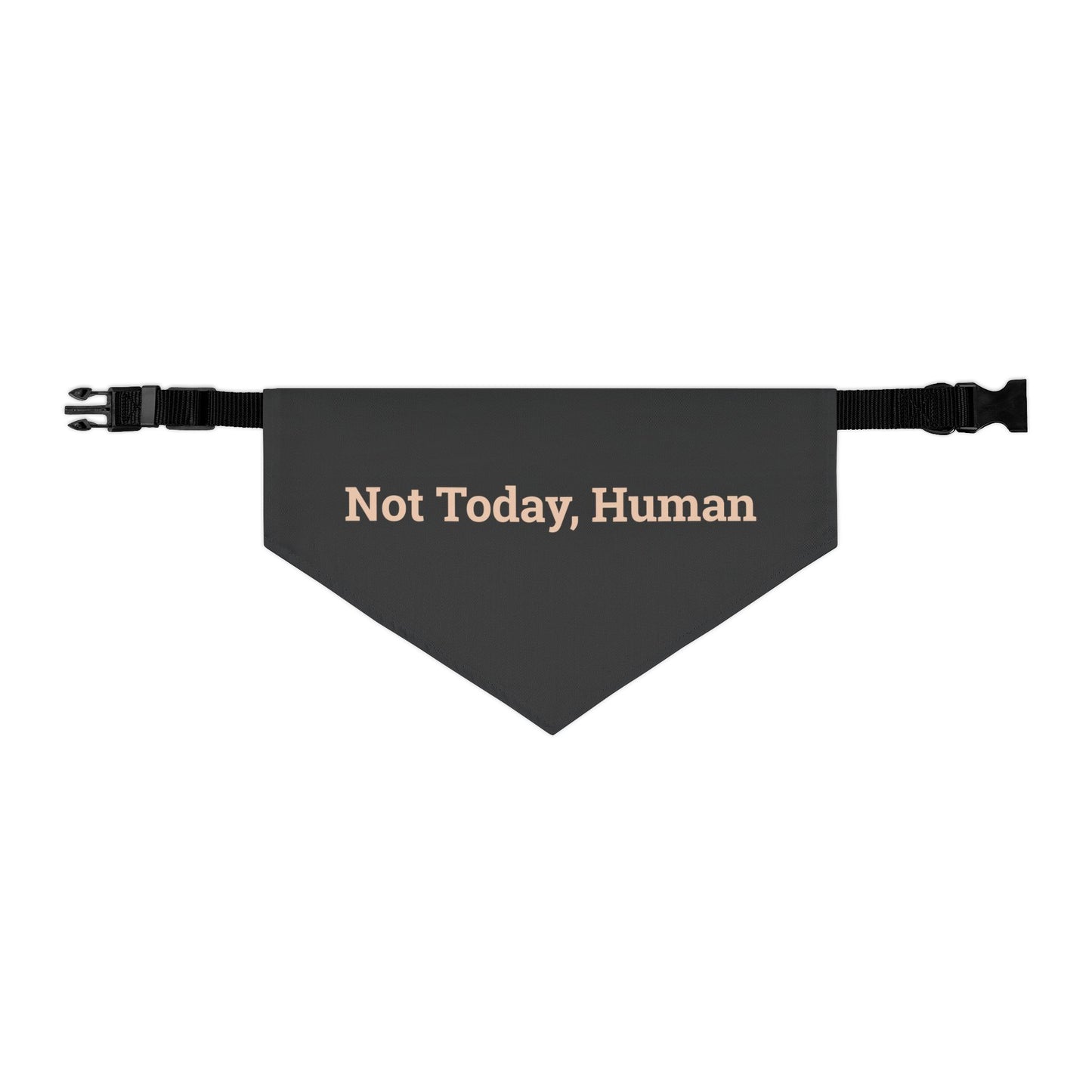 Pet Bandana Collar 'Not Today Human'