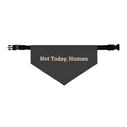Pet Bandana Collar 'Not Today Human'
