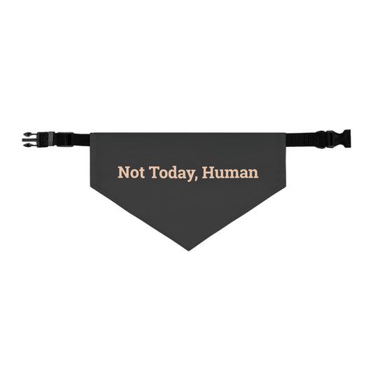Pet Bandana Collar 'Not Today Human'