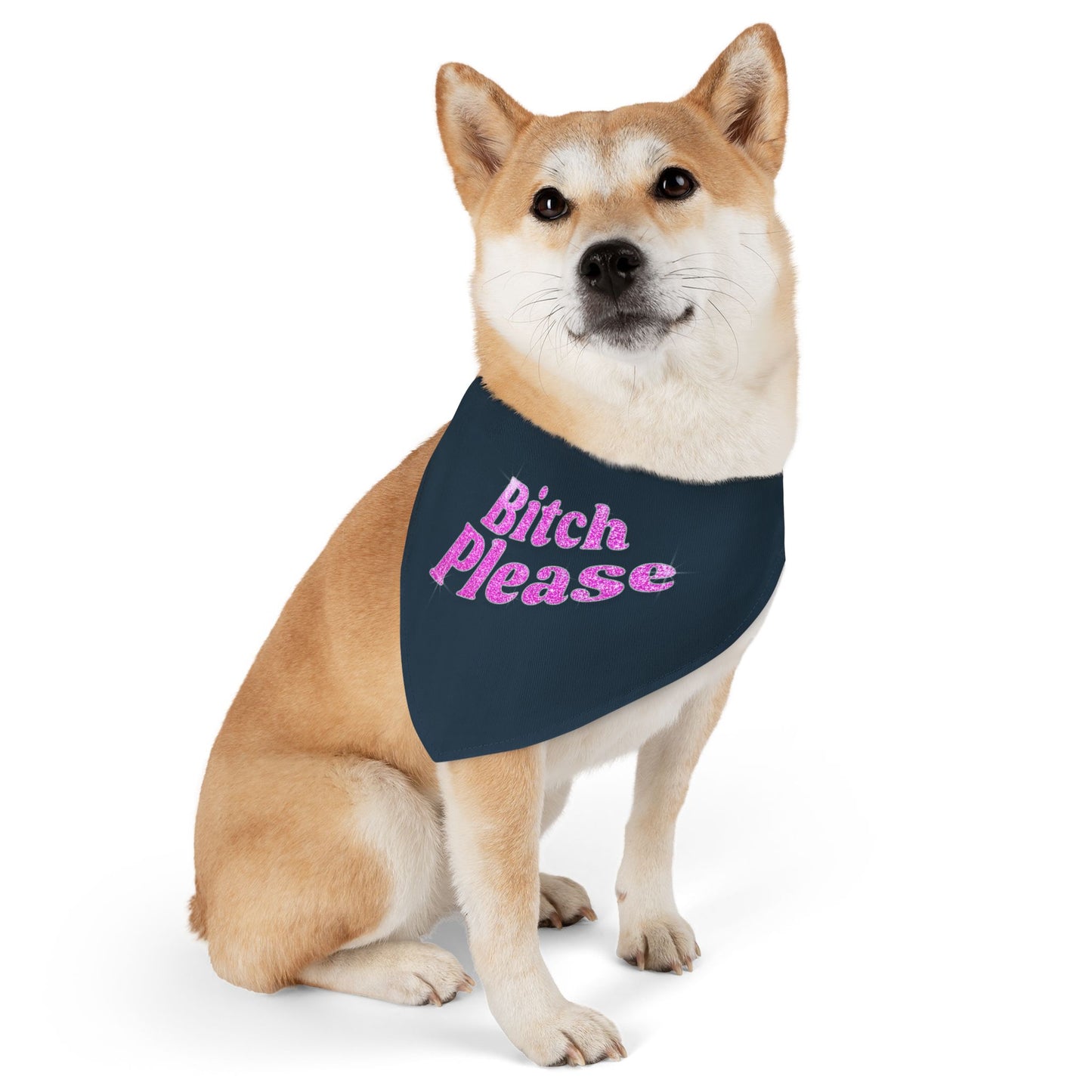 Pet Bandana Collar 'Bitch Please'
