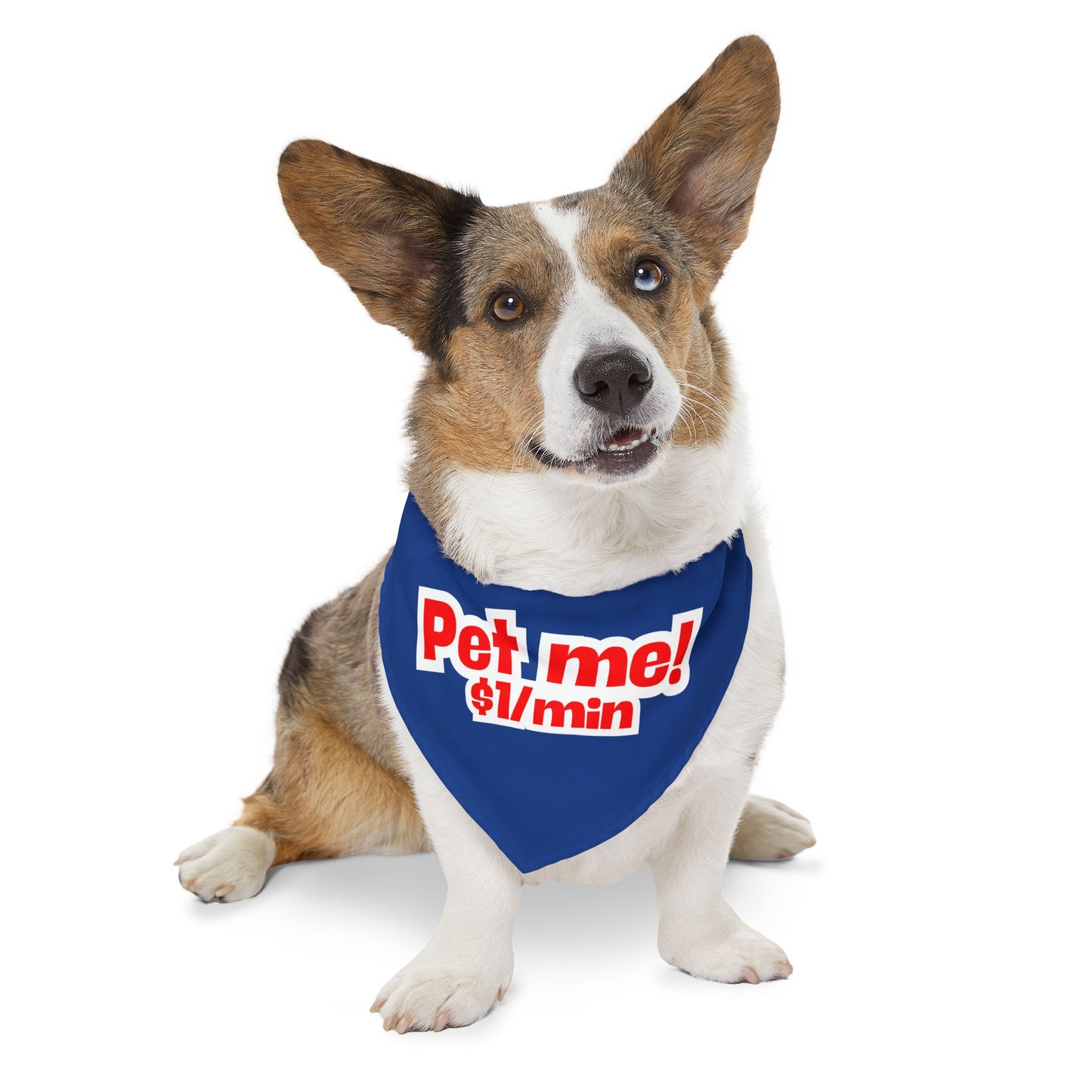 Pet Bandana Collar 'Pet me $1/min'