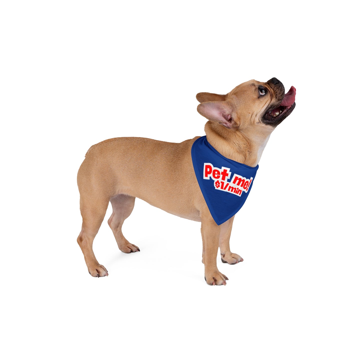 Pet Bandana 'Pet Me! $1/min'