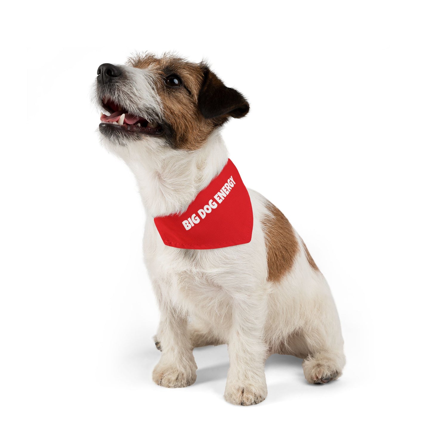 Pet Bandana Collar 'Big Dog Energy'