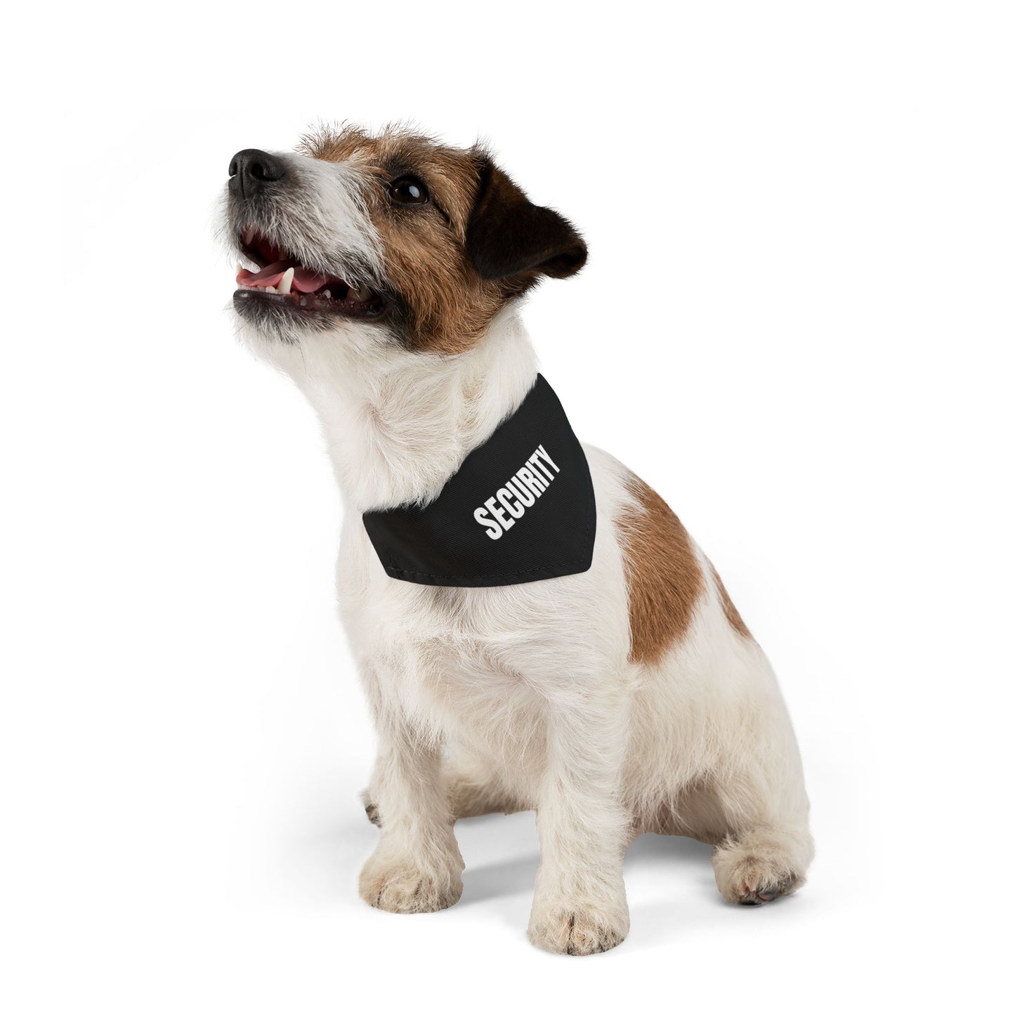 Pet Bandana Collar 'Security'
