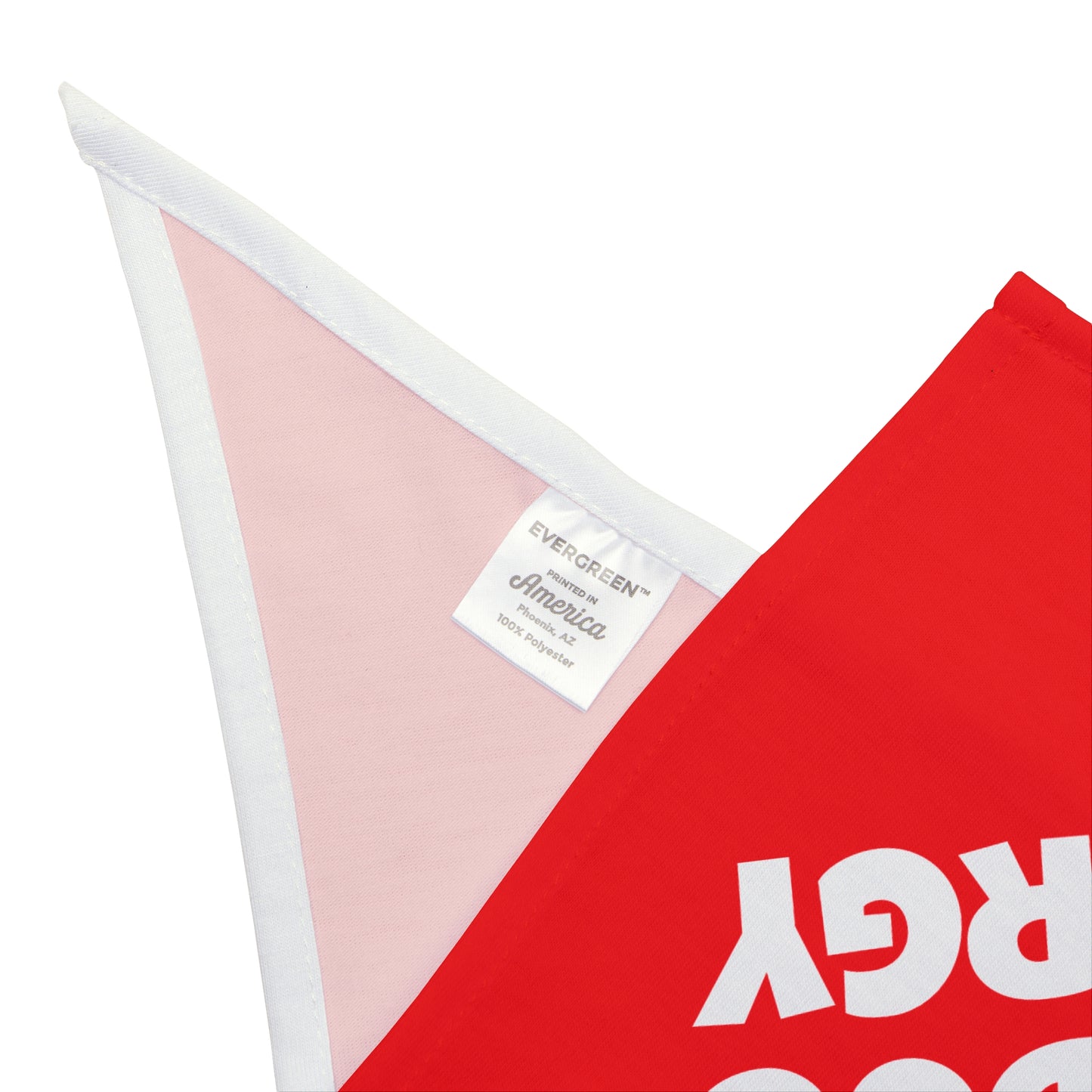 Big Dog Energy Pet Bandana