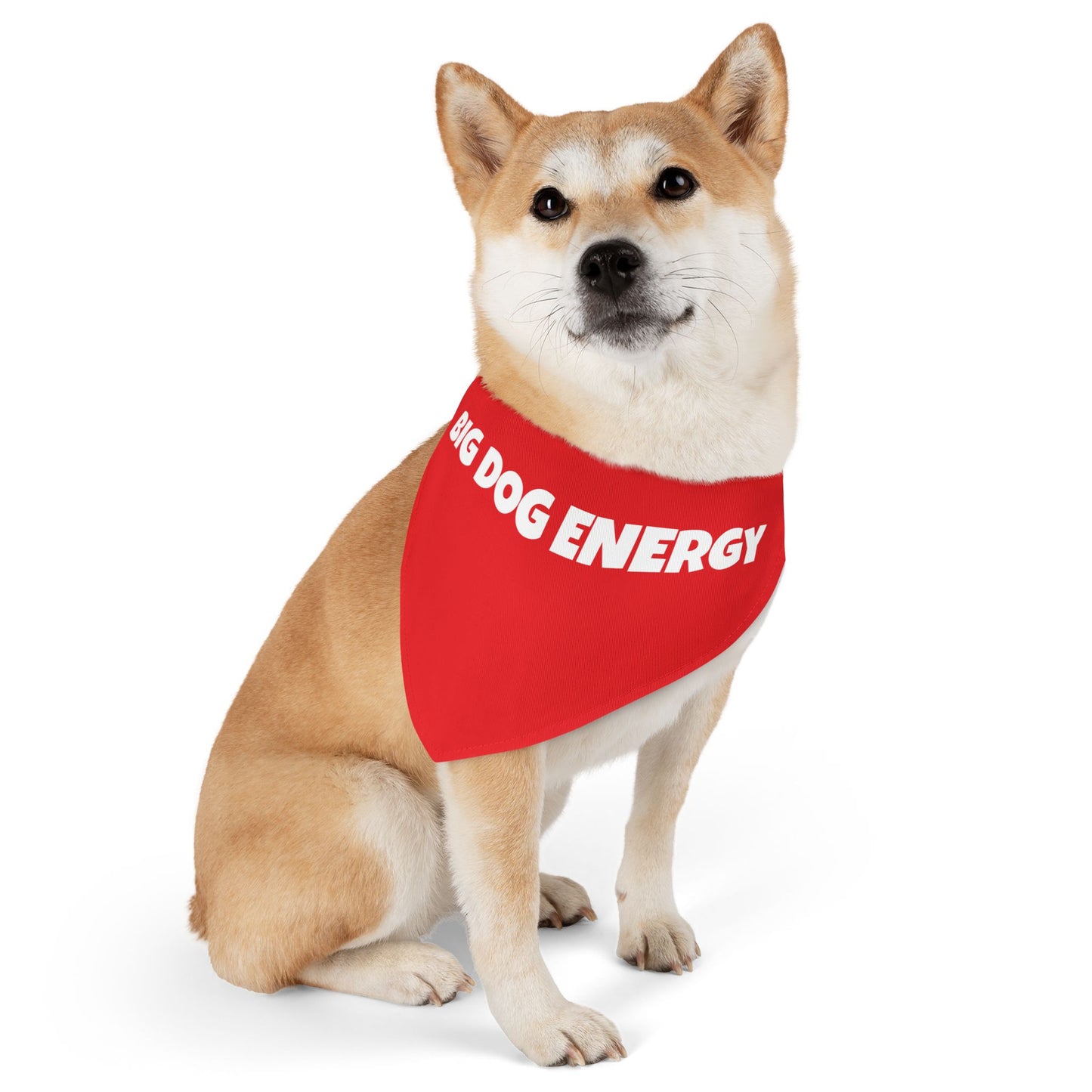 Pet Bandana Collar 'Big Dog Energy'