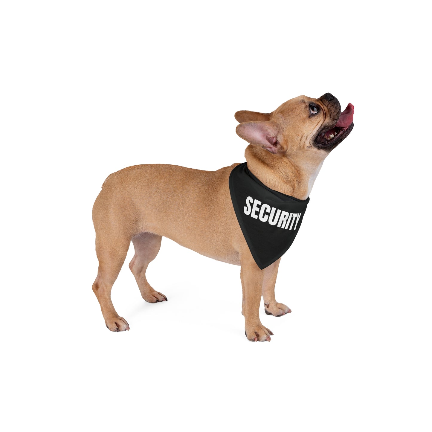 Pet Bandana 'Security'