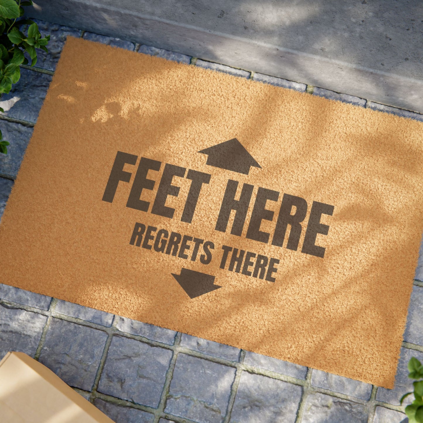 Door Mat 'Feet Here, Regrets There'