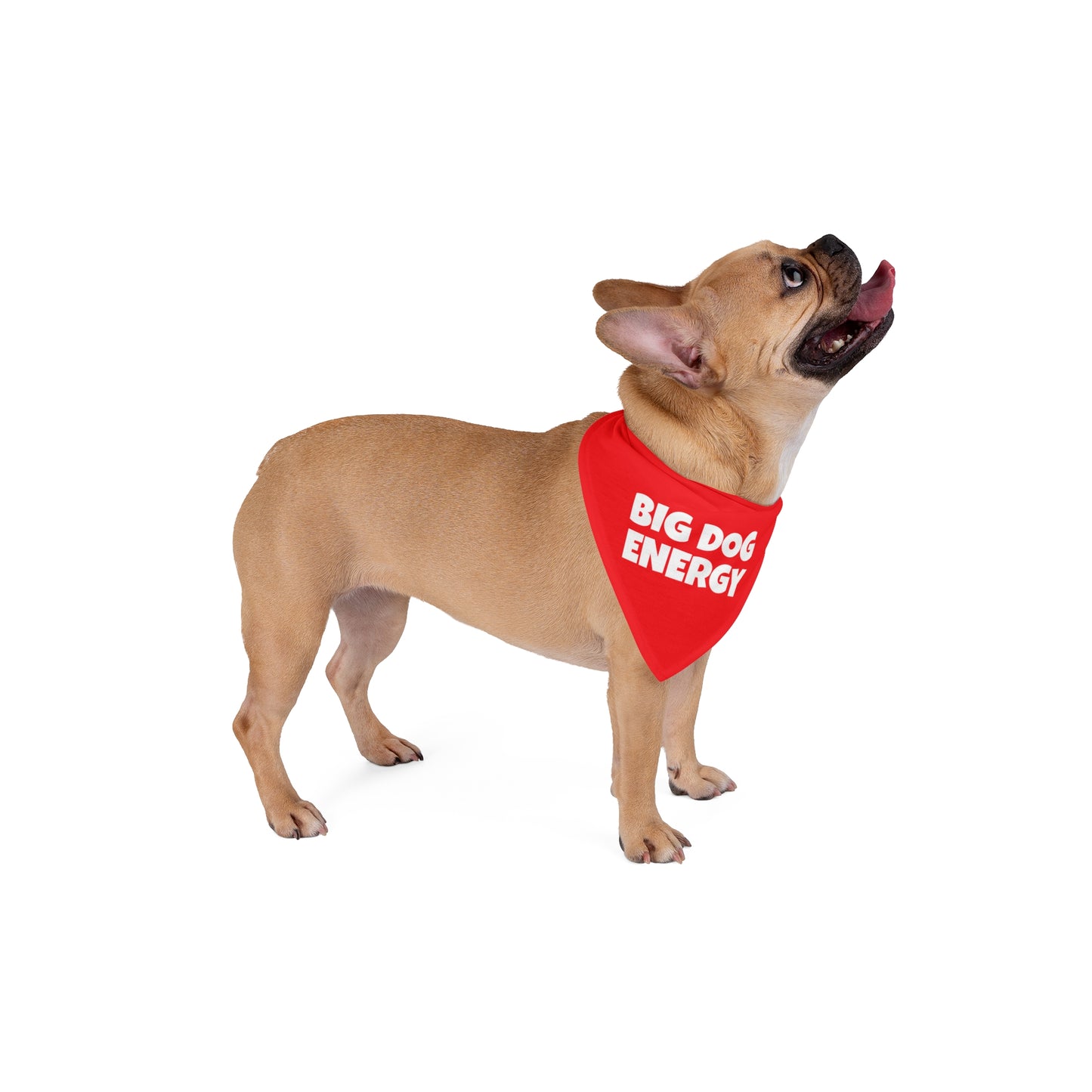 Big Dog Energy Pet Bandana