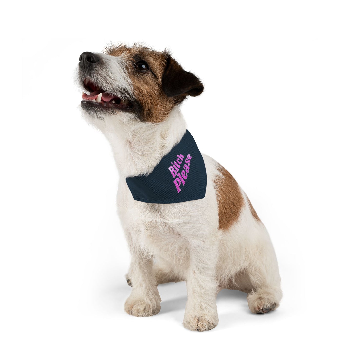 Pet Bandana Collar 'Bitch Please'