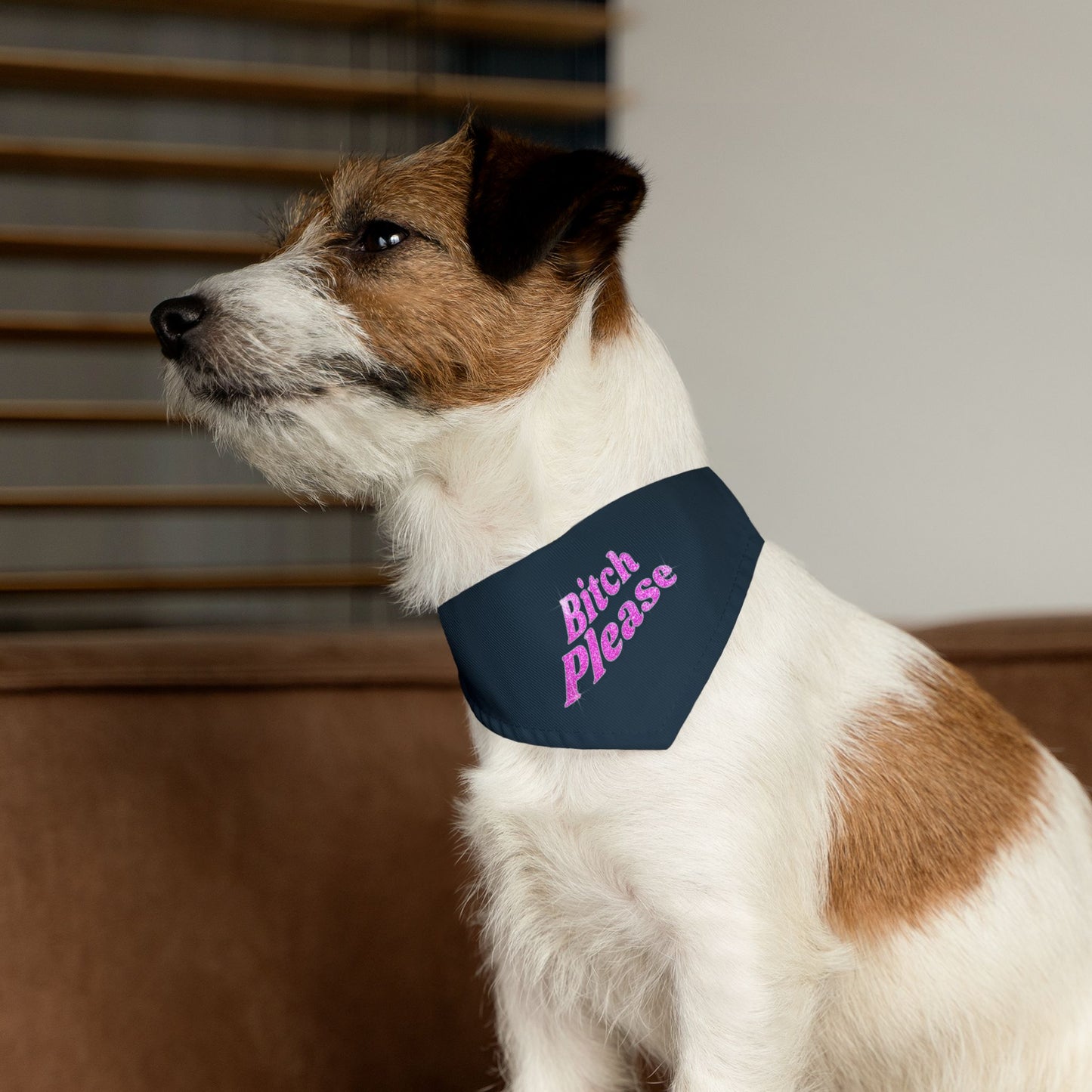 Pet Bandana Collar 'Bitch Please'