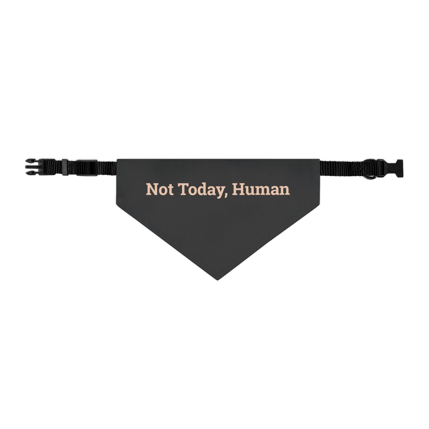 Pet Bandana Collar 'Not Today Human'