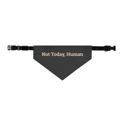 Pet Bandana Collar 'Not Today Human'