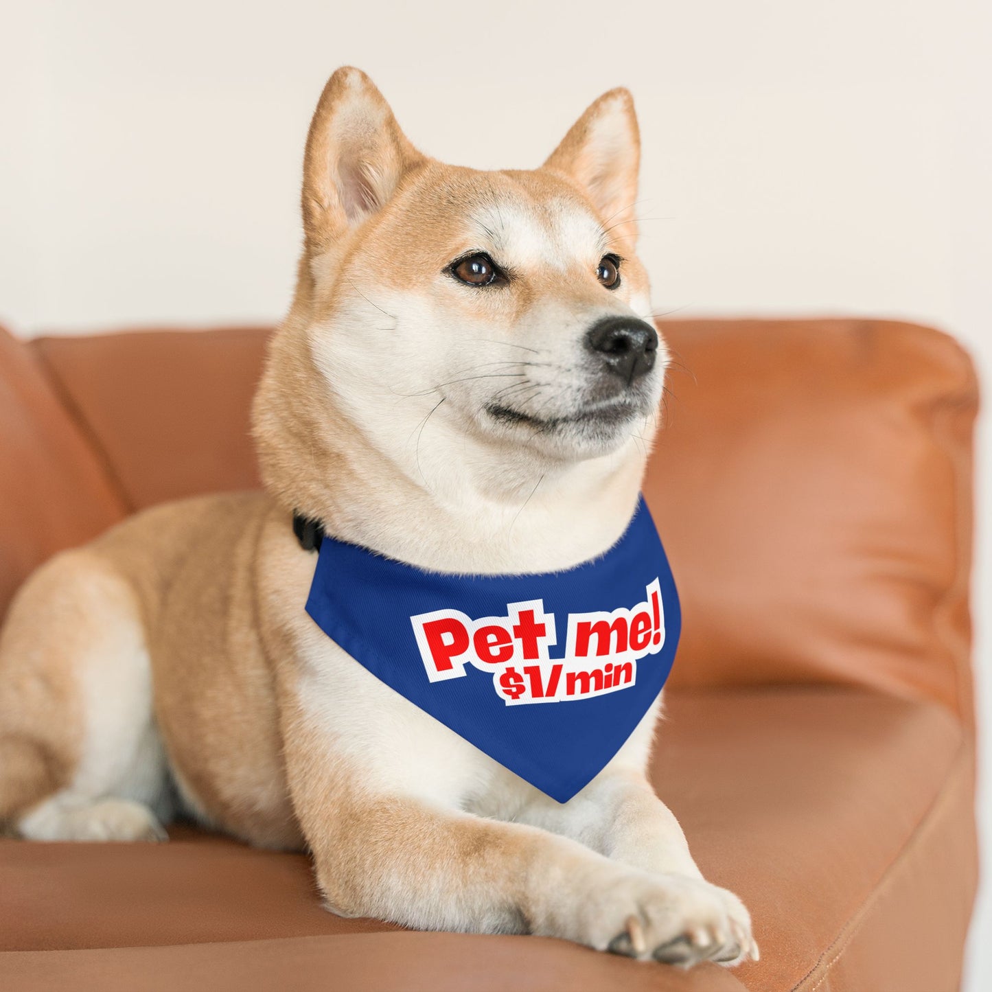 Pet Bandana Collar 'Pet me $1/min'