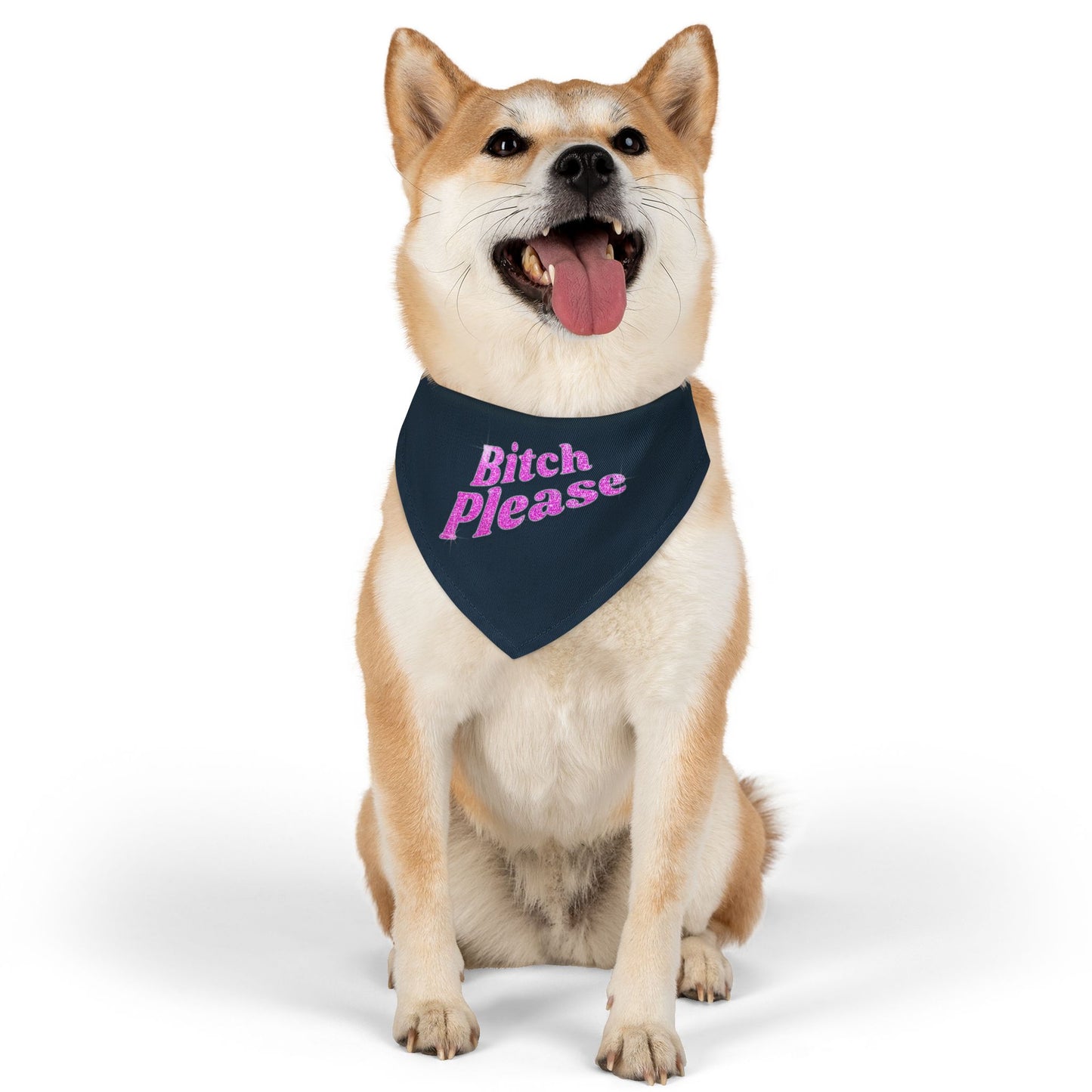 Pet Bandana Collar 'Bitch Please'