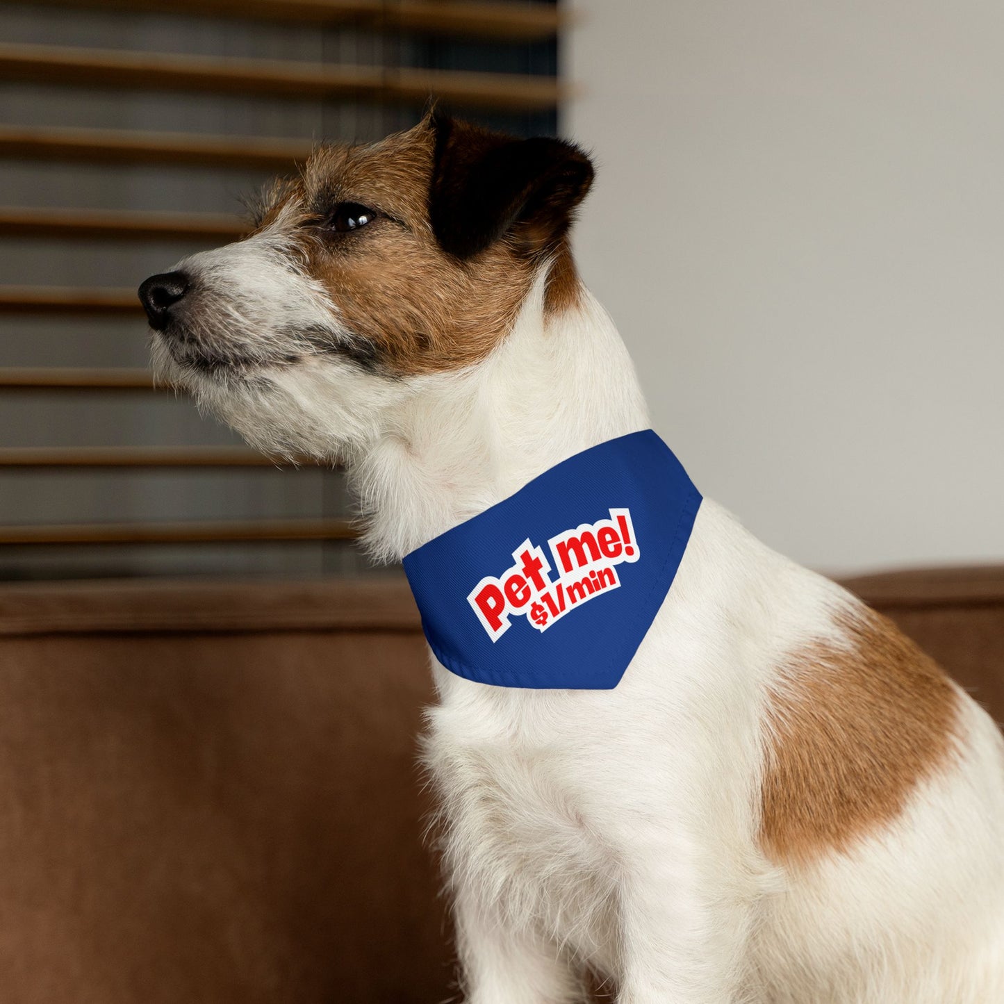 Pet Bandana Collar 'Pet me $1/min'