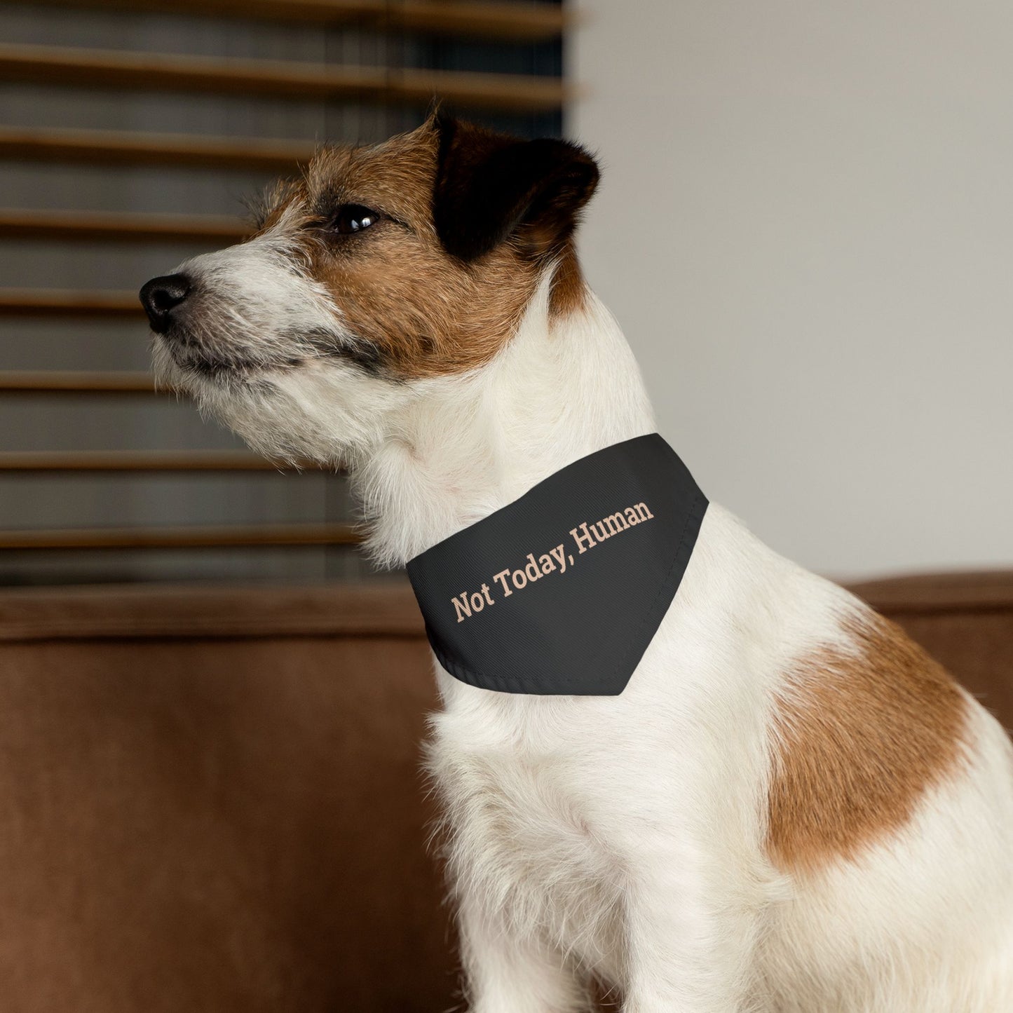 Pet Bandana Collar 'Not Today Human'