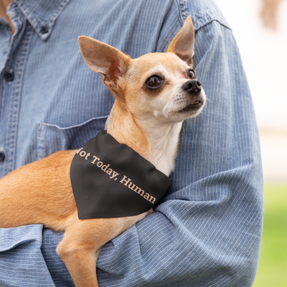 Pet Bandana 'Not Today, Human'