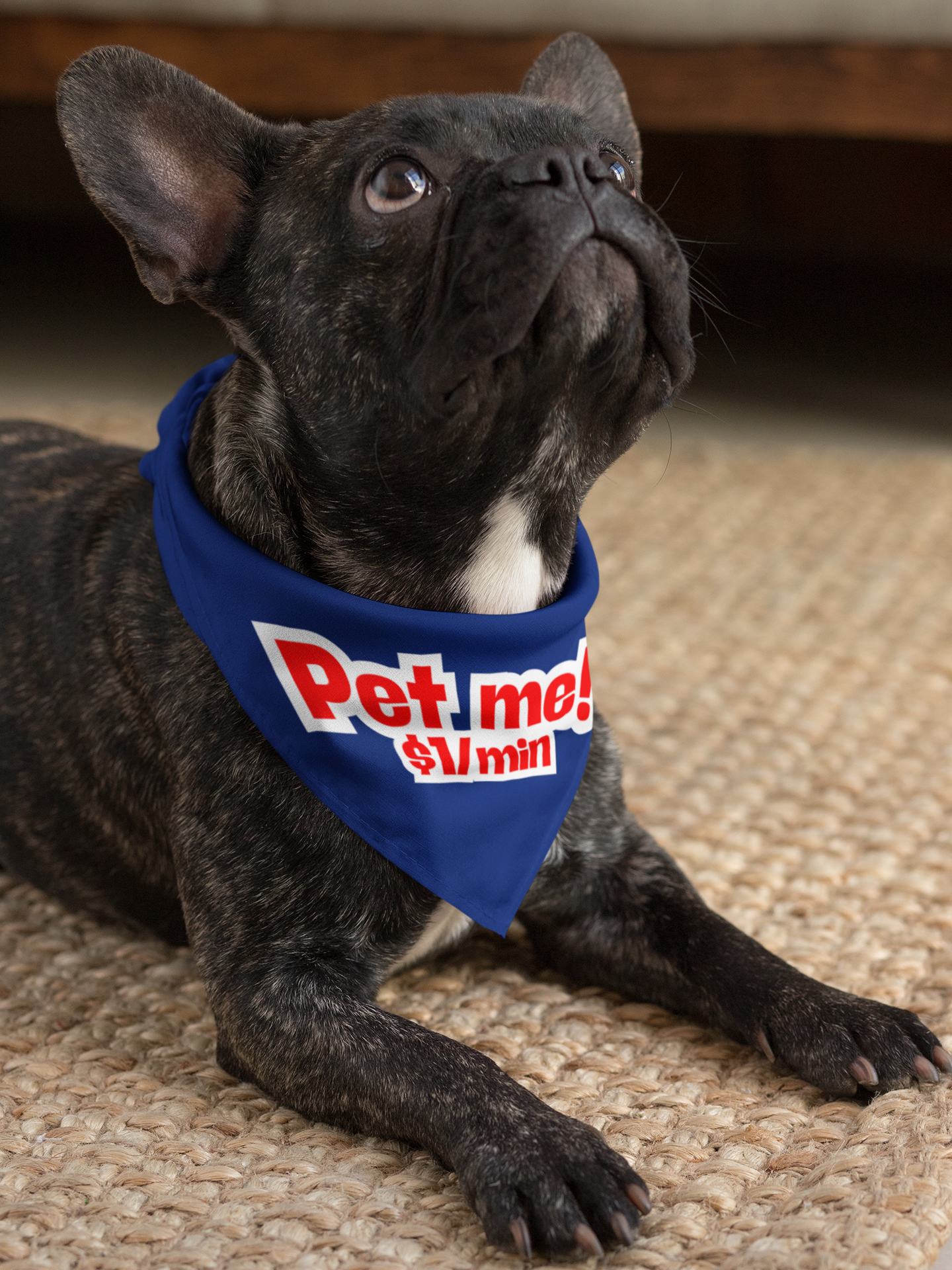 Pet Bandana 'Pet Me! $1/min'