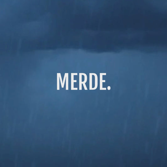 Umbrella 'Merde, Il Pleut'