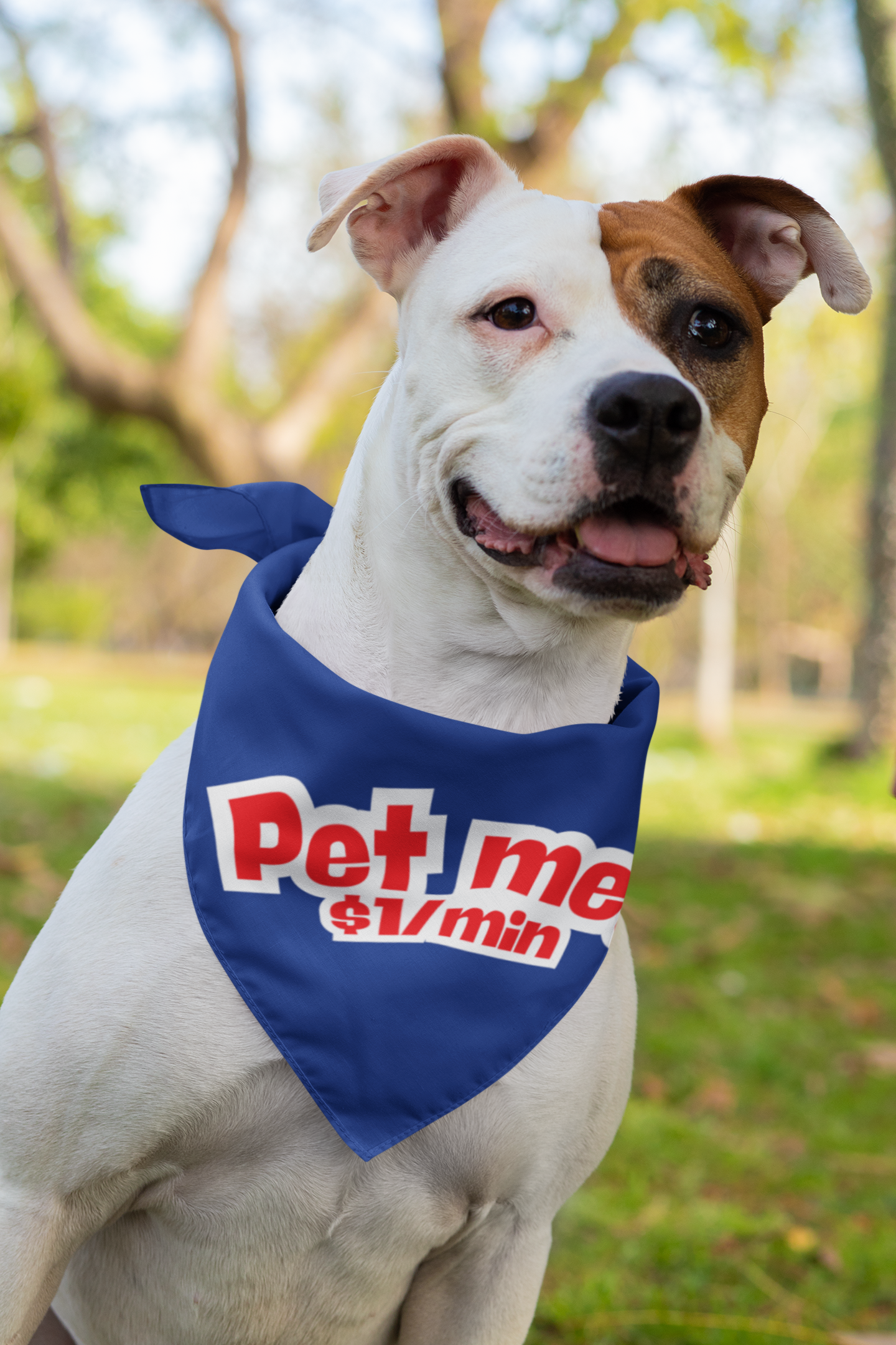 Pet Bandana 'Pet Me! $1/min'