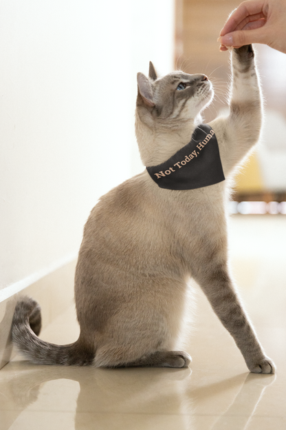 Pet Bandana 'Not Today, Human'