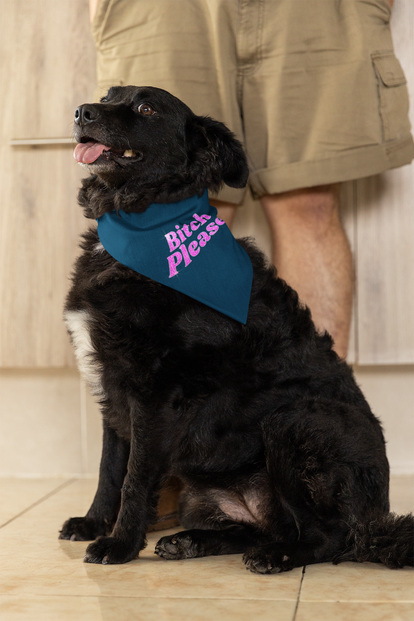 Pet Bandana 'Bitch Please'
